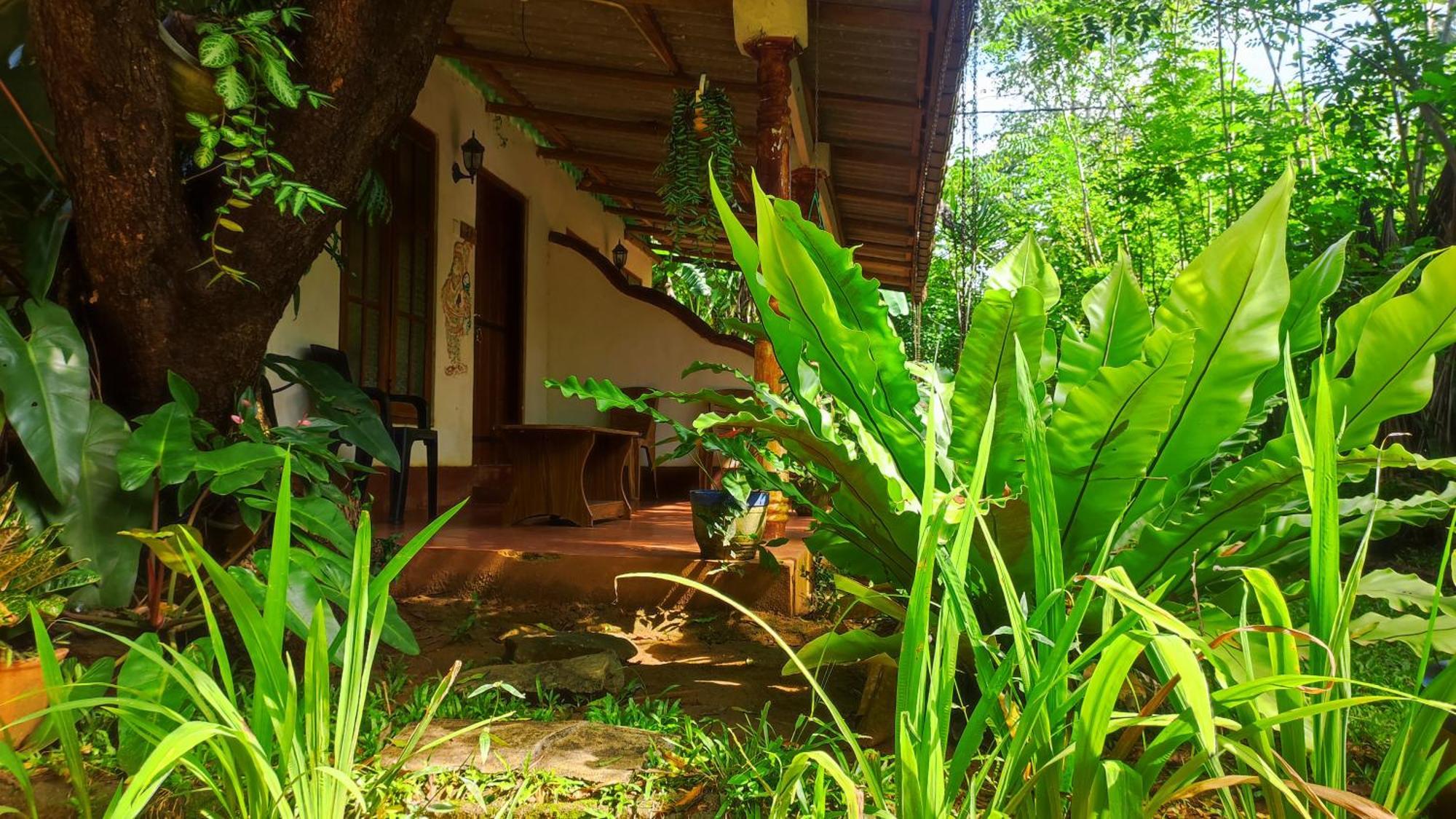 Jaana Guest Hotel Sigiriya Ngoại thất bức ảnh