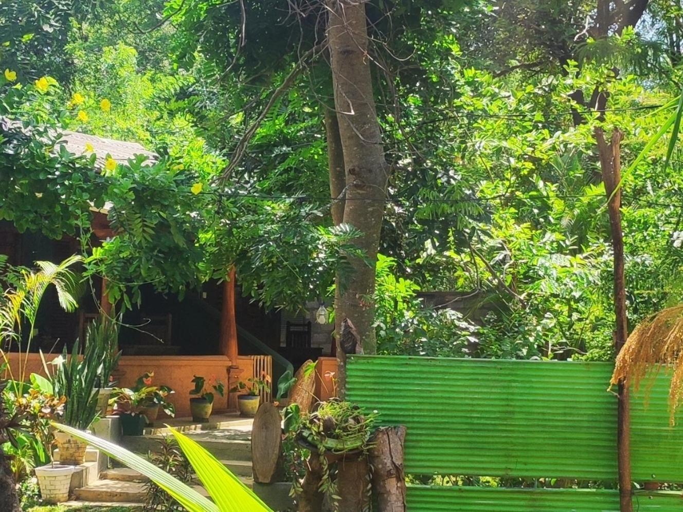 Jaana Guest Hotel Sigiriya Ngoại thất bức ảnh