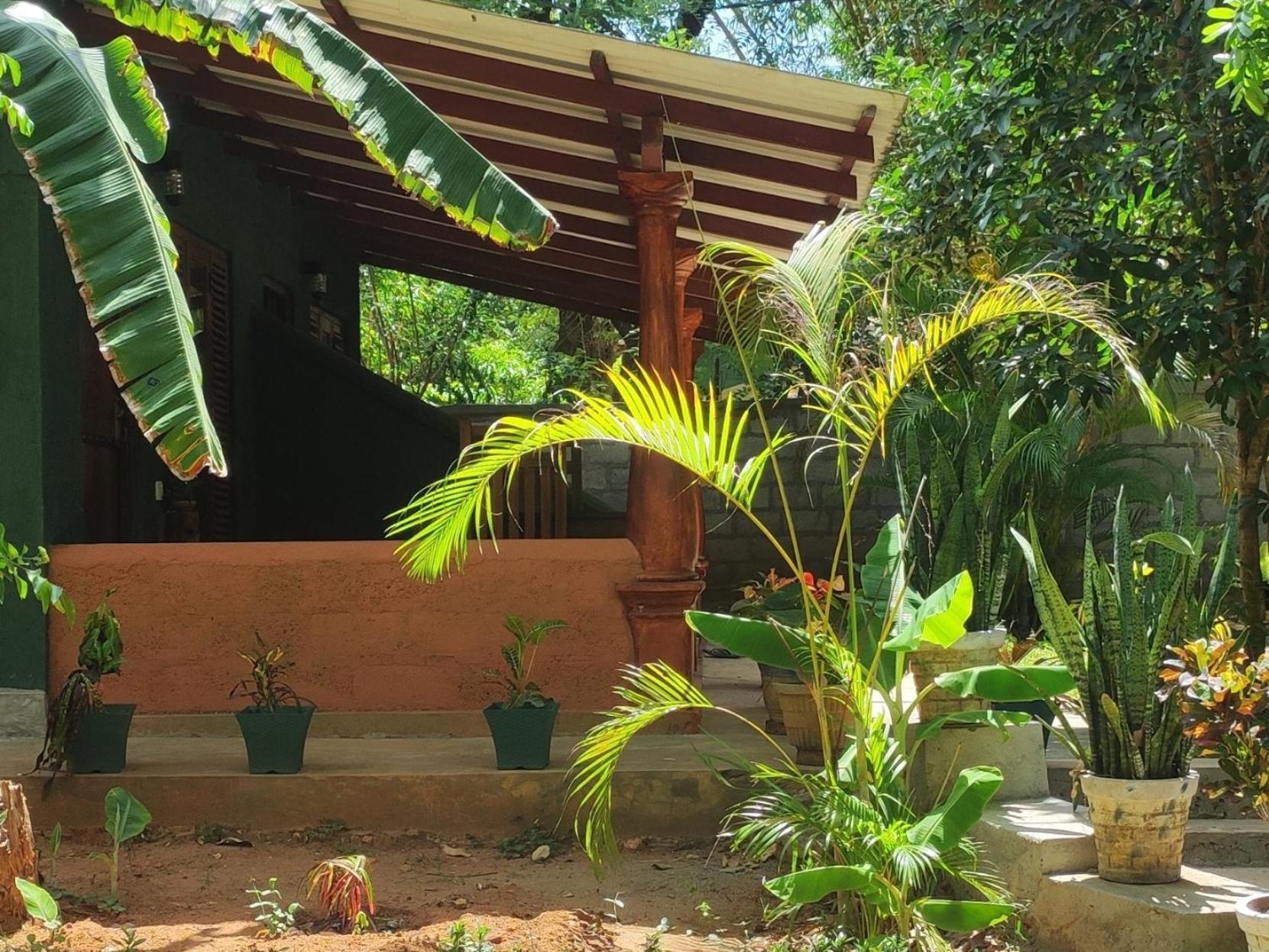 Jaana Guest Hotel Sigiriya Ngoại thất bức ảnh