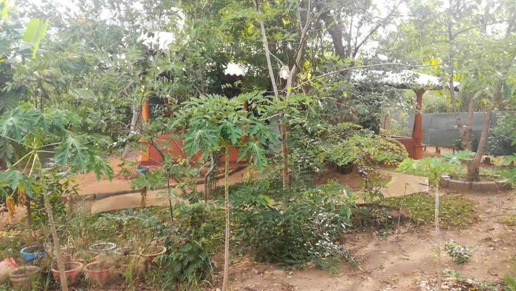 Jaana Guest Hotel Sigiriya Ngoại thất bức ảnh